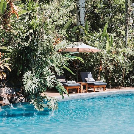 פוארטו איגואסו Overo Lodge & Selva מראה חיצוני תמונה